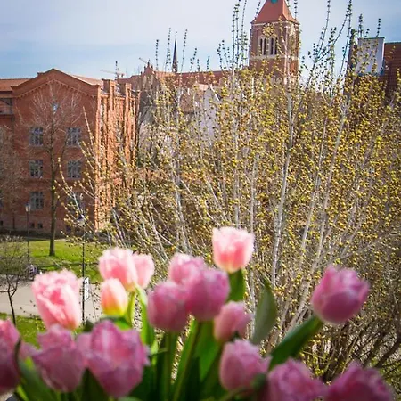 Apartment Romantic Old City *
